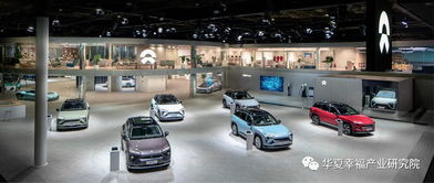 產(chǎn)業(yè)觀察丨從產(chǎn)品陣容看中國電動汽車企業(yè)后補(bǔ)貼時代的應(yīng)對策略